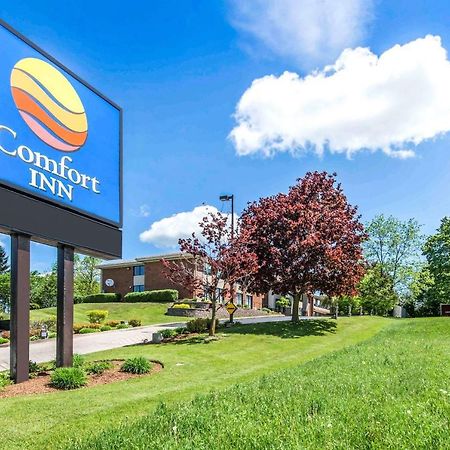 Comfort Inn Owen Sound Dış mekan fotoğraf